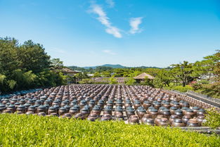 嵩县房屋出租，探索宜居之地，发现投资潜力
