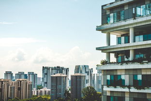 兴隆家园，都市绿洲中的温馨家园，租房新选择