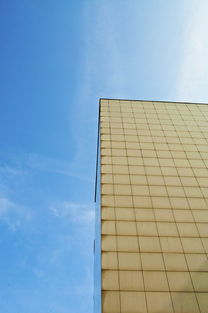 塑料板在现代建筑中的革命性应用，环保与创新的完美结合