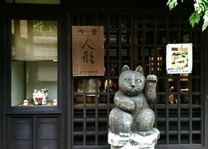 探索伊春，揭秘东北小城的房屋出租市场与生活魅力