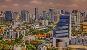 瑞金路二手房市场分析，投资与自住的双重机遇