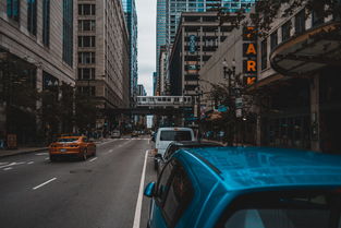 珠江路租房指南，都市生活的舒适之选