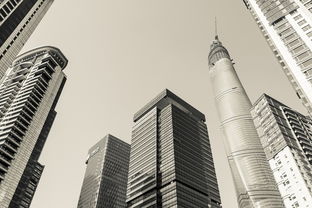 板桥新机遇探索板桥区房屋出租市场，投资与居住的双重价值