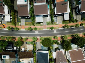 吴中区房屋出租市场分析，投资与居住的双赢选择