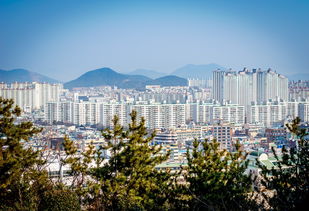 康盛花园，城市绿洲中的现代生活典范